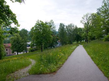 Excursión A pie Viechtach - Viechtach Rundweg Nr. 4 - Photo