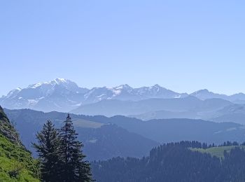 Trail Walking La Giettaz - Rando Marmotte  - Photo