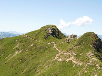 Tocht Stappen Les Houches - Trajet Aiguillette des Houches - Photo