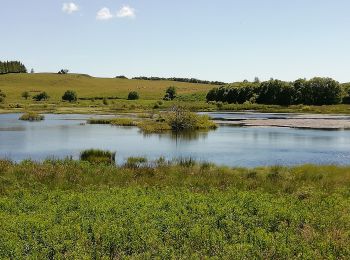 Tour Wandern Prades-d'Aubrac - Brameloup Voie Romaine 4 km - Photo