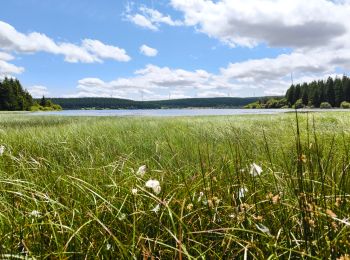 Tour Wandern Monts-de-Randon - Charpal - Photo