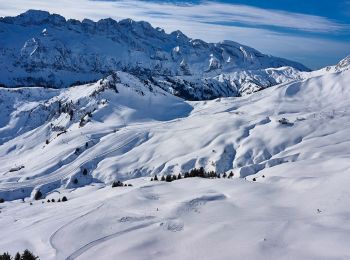 Randonnée A pied Val-d'Illiez - Les Crosets-Sur Cou - Photo