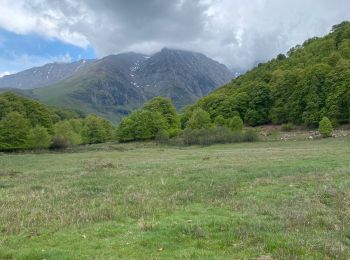 Tour Mountainbike Arreau - Col d’Aspin - Photo