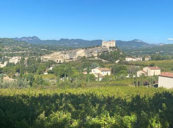 Tour Wandern Vaison-la-Romaine - Vaison  - Photo