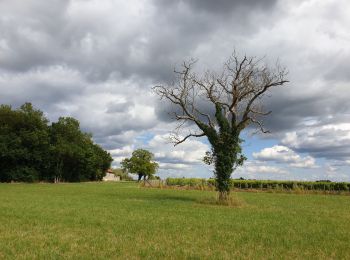 Tocht Stappen Hiersac - hiersac - Photo