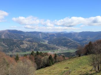 Trail Walking Rougemont-le-Château - BAERENKOPF - Photo