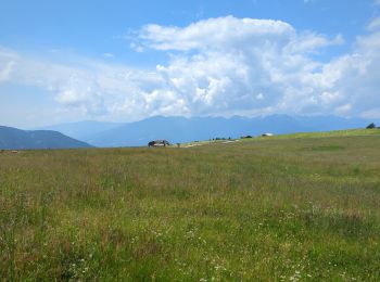 Tocht Stappen Lüsen - Luson - Lüsner Alm - Rastnerhütte - Photo