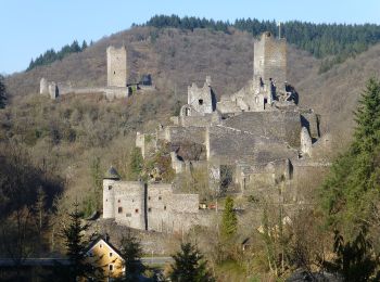 Randonnée A pied Schalkenmehren - Lieserpfad - Photo