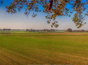 Tocht Te voet Hamminkeln - Brüner Höhen Rundweg A1 - Photo