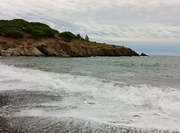 Tocht Stappen Port-Vendres - anse des paulliles - cap bear via les vignes retour par le chemin côtier - Photo