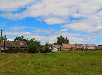 Excursión A pie Knyk - [Z] Havlíčkův Brod - Rozňák - Photo