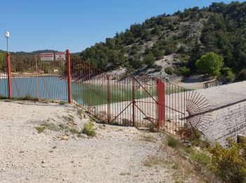 Tour Wandern Caromb - Lac de Paty - Photo