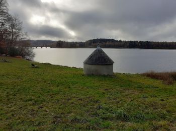 Tocht Stappen Beaumont-du-Lac - pierrefite de vasiviere  - Photo