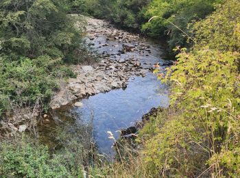 Trail Walking Chile Chico - Cascadas los Maquis - Photo