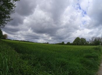 Tocht Mountainbike Terhulpen - vtt hulpe - Photo