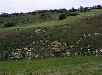 Tour Zu Fuß North Hertfordshire - Walk on the wild side - Photo