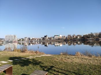 Tour Wandern Bellerive-sur-Allier - boucles des îles abrest  - Photo