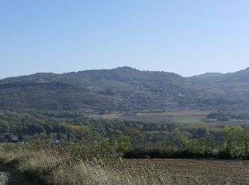 Tour Wandern Le Cendre - Le Cendre - Photo