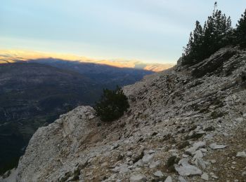 Percorso Marcia Bédoin - sentier du Vertige - Photo