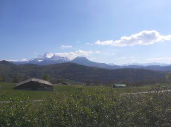 Tour Wandern Siévoz - foison 2019 - Photo