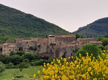 Percorso Marcia Vissec - Vissec à Navacelle - Photo