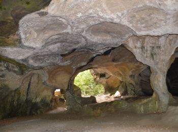 Percorso A piedi Berdorf - AAA-Mullerthal-3-BERDORF-ECHTERNACH-BERDORF -14.3 KM    (103) - Photo