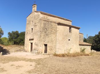 Randonnée Marche Aubais - Aubais -St Nazaire - Photo