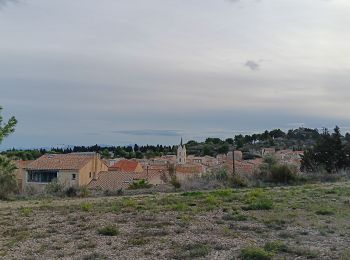 Tour Wandern Leucate - leucate - cap des frères (sentier des bergers) -la franqui (sentier des guetteurs) - leucate (se tier des vignerons) - Photo