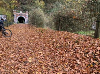 Trail Mountain bike Herve - Vtt Mortier Dalhem Train bleu Mortoux  - Photo