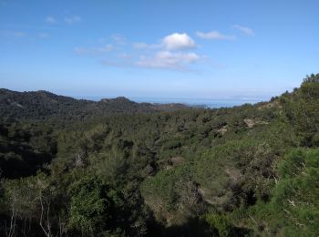 Randonnée V.T.T. Six-Fours-les-Plages - variante - Photo