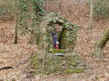 Tour Zu Fuß Bergisch Gladbach - [U] Rundweg Asselborn - Schiff - Hombach - Photo