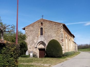 Randonnée Marche Châteauneuf-de-Galaure - Le tour de Châteauneuf de Galaure - Photo