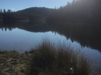 Trail Walking Saint-Paul-en-Forêt - Meault  - Photo