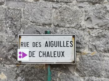 Tocht Stappen Dinant - FURFFOZ ... les Aiguilles de Chaleux et la Réserve naturelle. - Photo