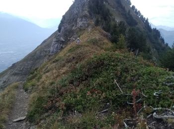 Excursión Senderismo Marthod - Dent de Cons en boucle depuis Raffort - Photo