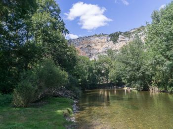 Randonnée Canoë - kayak Saint-Sulpice - Descente du Célé entre Saint Sulpice et la base de loisirs des Anglanats - Photo