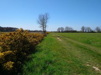 Tocht Stappen Bossée - Bossée - PR Grande boucle - 23.8km 100m 5h05 (30mn) - 2021 03 30 - Photo