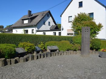 Randonnée A pied Langenhahn - Rotzenhahner Rundwanderweg R4 - Photo