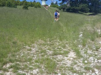 Excursión Ruta Cucuron - Le Mourre Nègre - Sivergues au départ de Cucuron - Photo