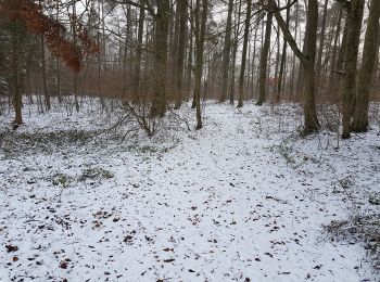 Percorso A piedi Helmstadt - Kulturweg Waldsassengau 1 - Photo