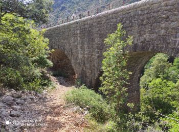 Randonnée Marche Sumène - Sumène - Pont des chèvres - Photo