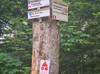 Trail Walking Rosheim - Heidenkopf - Photo