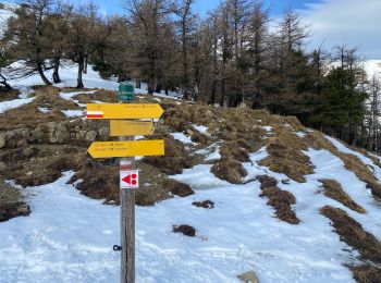 Percorso Sci alpinismo Le Dévoluy - Col du Lauteret - Photo