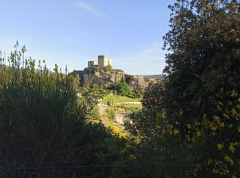 Percorso Mountainbike Vaison-la-Romaine - Vaison Seguret - Photo