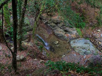 Tocht Te voet Bonassola - Reggimonti - Monte Gaggi - S.P. 64 - Monte Grumo - Photo