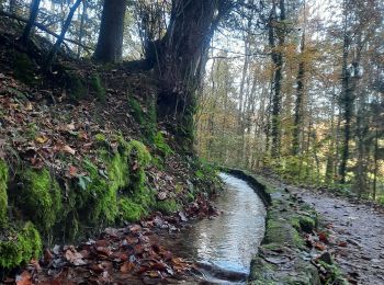 Percorso Marcia Echternach - mullerthal e1 - Photo