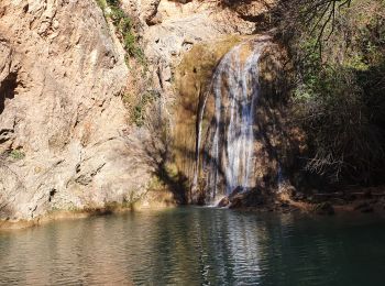 Tocht Stappen Barjols - barjols les carmes le petit bessillon  - Photo