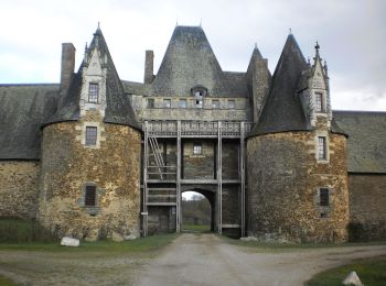 Trail On foot La Chapelle-Glain - FR-1140 - Photo