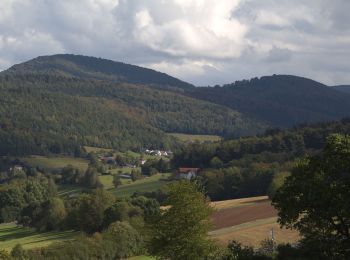 Tour Zu Fuß Ebersburg - Rhön-Rundweg 1 Wachholderhuette - Photo