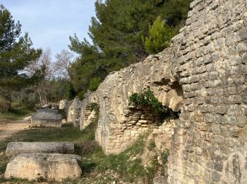 Tour Wandern Fontvieille - Les moulins de fontvieille - Photo